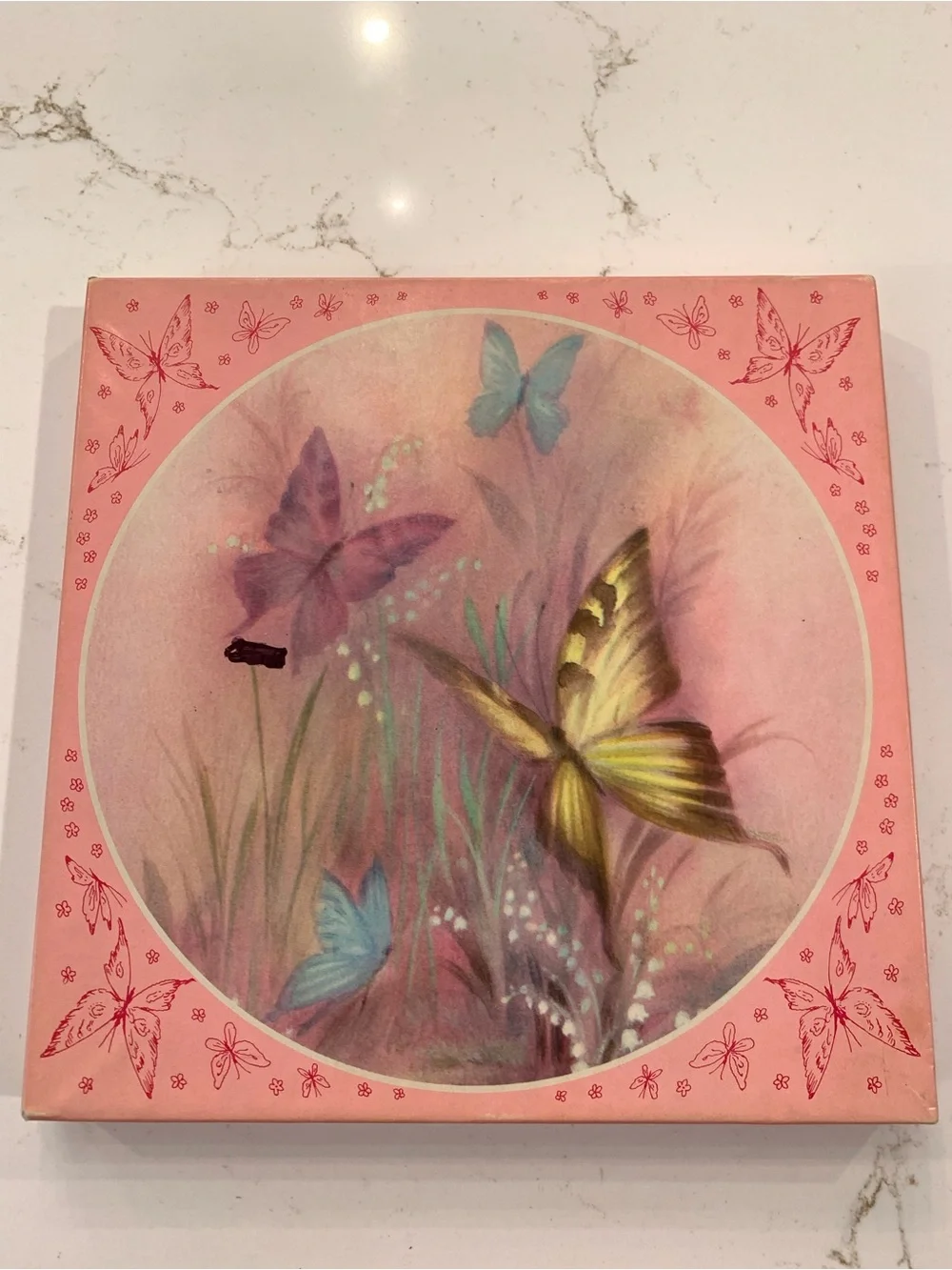 Vintage Stationary Paper Round 8” Butterfly Florals With Envelopes & Box (19)
